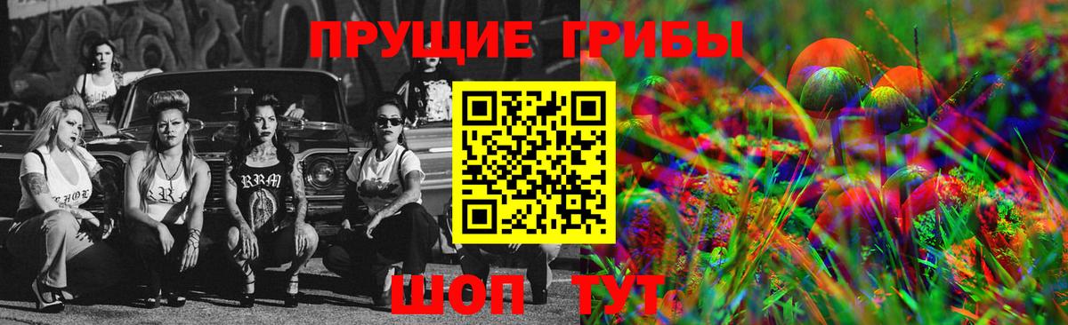 Псилоцибиновые грибы GOLDEN TEACHER  Вход с VPN  Кулебаки 