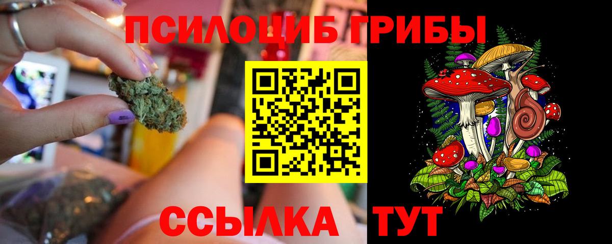 Галлюциногенные грибы MAGIC MUSHROOMS Кулебаки